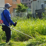 庭仕事（草刈り・木の伐採・植木の剪定など）について
